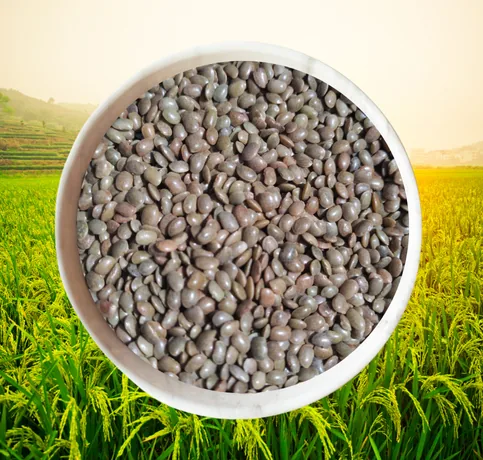 Sorted Horsegram