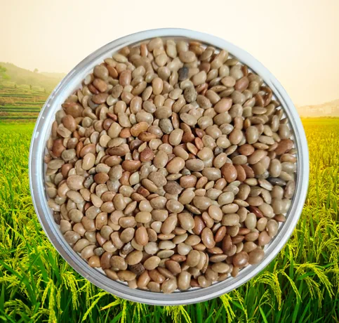 Horsegram