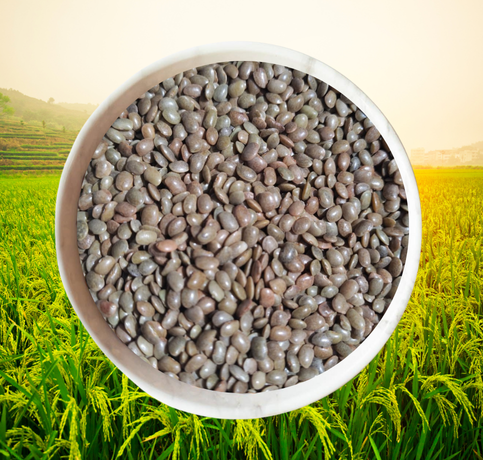 Sorted Horsegram from Sri Manteshwara Agro Industries